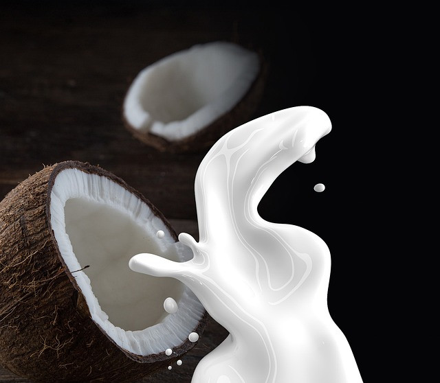 coconut milk, milk, coconut