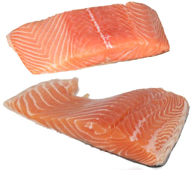 fish, salmon, fillet